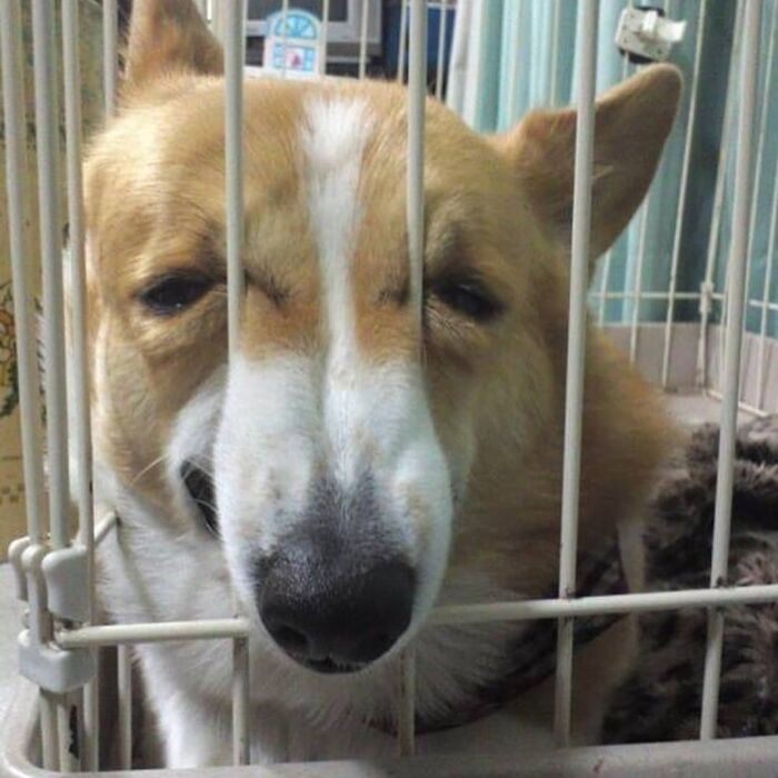 99 Photos That Are Quite Difficult To Look At Because Of How Weird And Cringey They Are