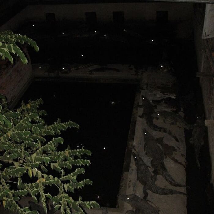 99 Photos That Are Quite Difficult To Look At Because Of How Weird And Cringey They Are