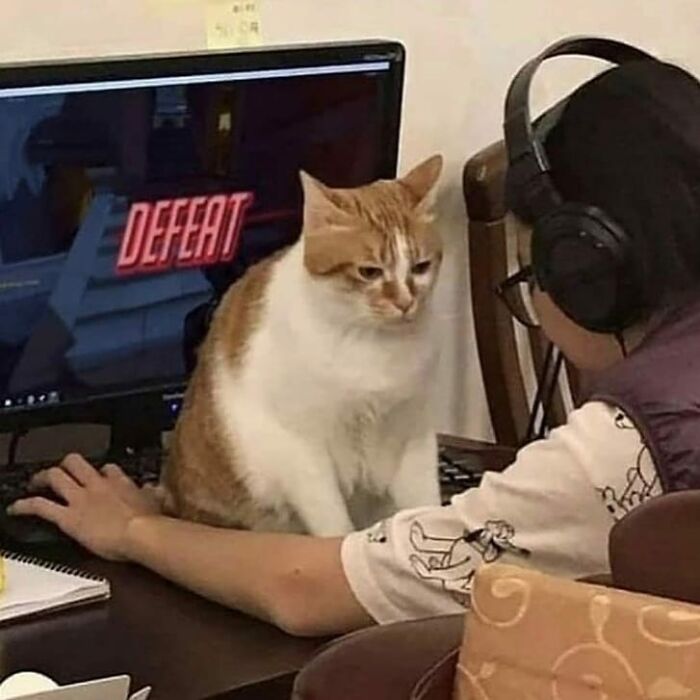 99 Photos That Are Quite Difficult To Look At Because Of How Weird And Cringey They Are