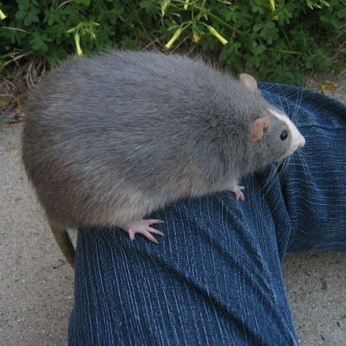 99 Photos That Are Quite Difficult To Look At Because Of How Weird And Cringey They Are