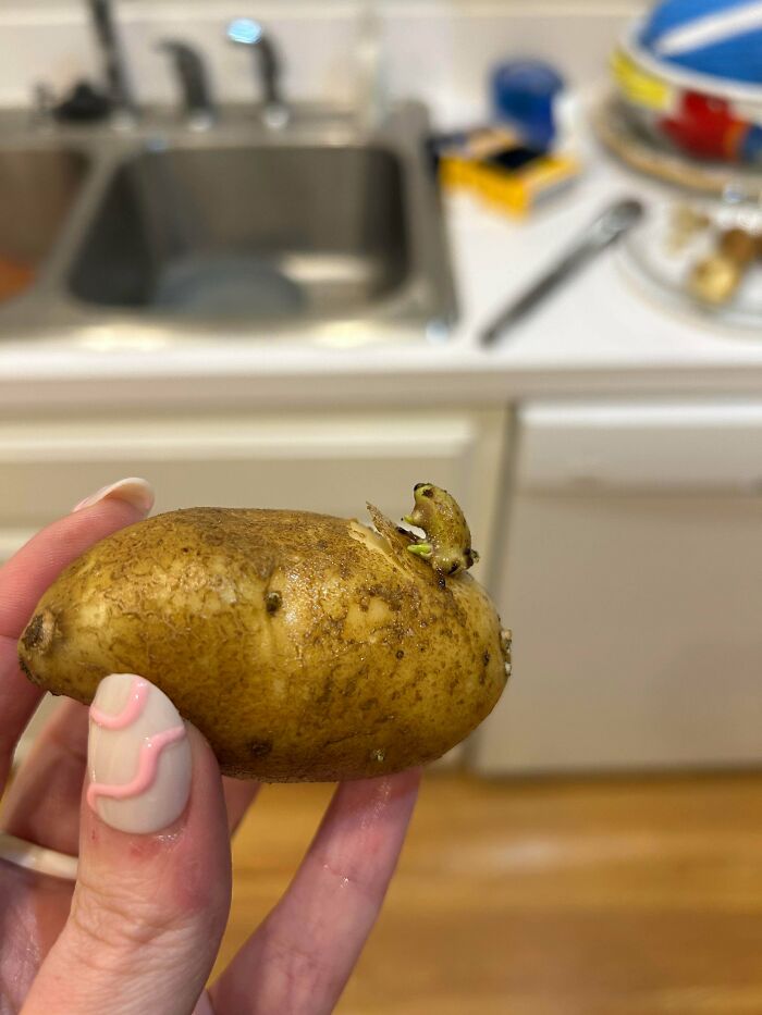 81 Pictures Of Weird And Unexplainable Things People Experienced (New Pics)