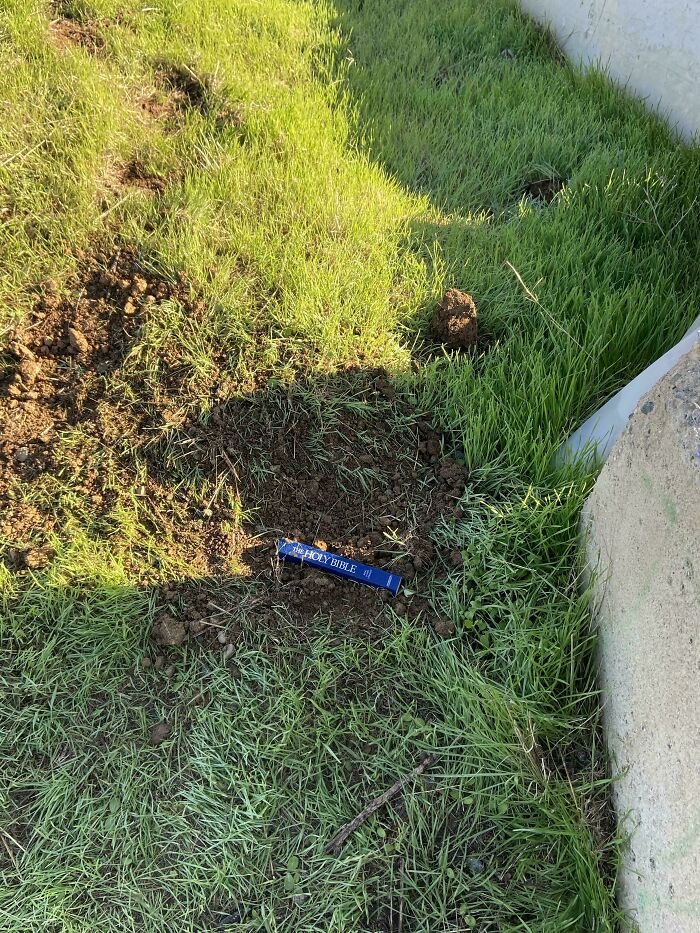 81 Pictures Of Weird And Unexplainable Things People Experienced (New Pics)