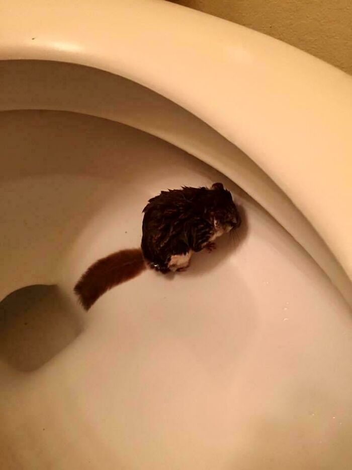 81 Pictures Of Weird And Unexplainable Things People Experienced (New Pics)