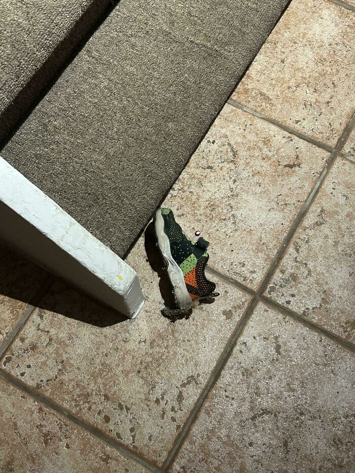 81 Pictures Of Weird And Unexplainable Things People Experienced (New Pics)