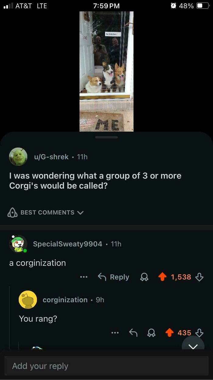 63 Moments When A Person With The Perfect Username Unexpectedly Popped Up In An Online Conversation (New Pics)