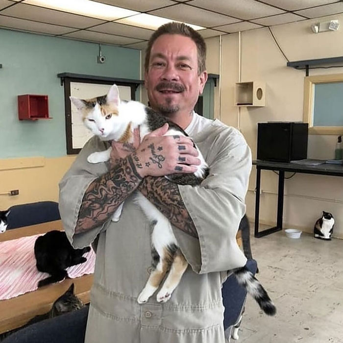 If You’re Questioning If Anything Good Is Left In The World, Here Are 67 Uplifting Posts You Might Need