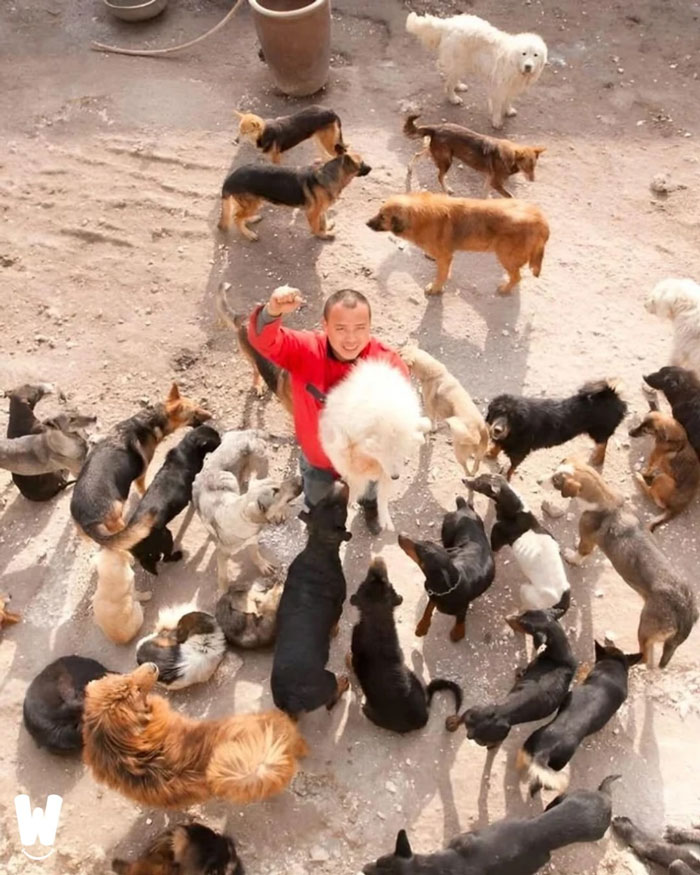 If You’re Questioning If Anything Good Is Left In The World, Here Are 67 Uplifting Posts You Might Need