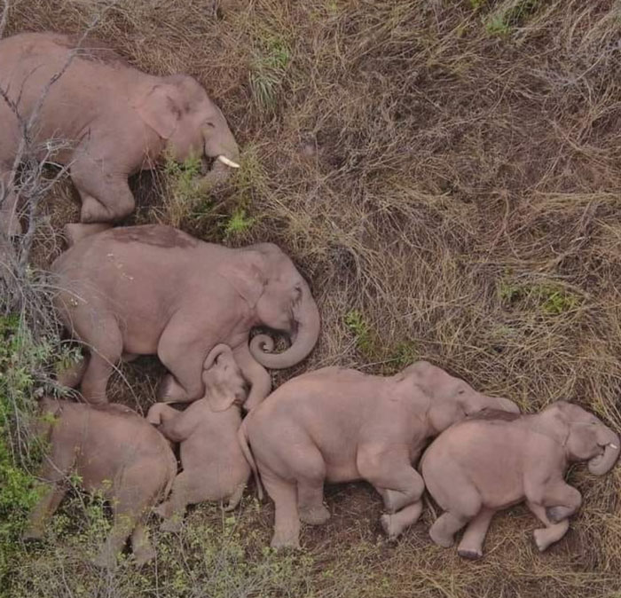 If You’re Questioning If Anything Good Is Left In The World, Here Are 67 Uplifting Posts You Might Need