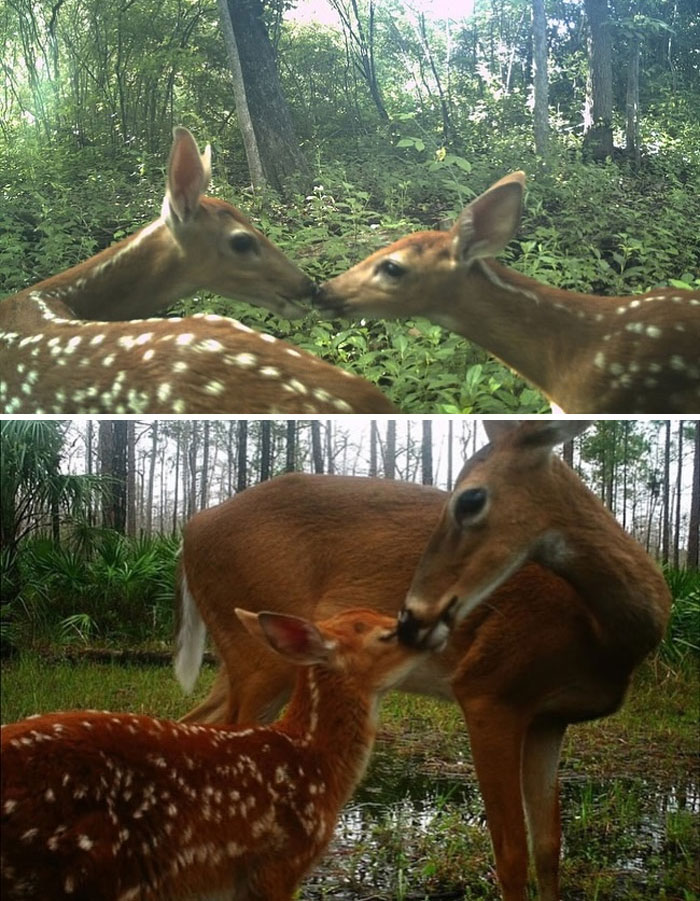 If You’re Questioning If Anything Good Is Left In The World, Here Are 67 Uplifting Posts You Might Need