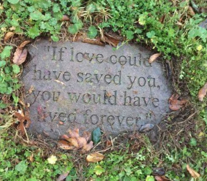 If You’re Questioning If Anything Good Is Left In The World, Here Are 67 Uplifting Posts You Might Need