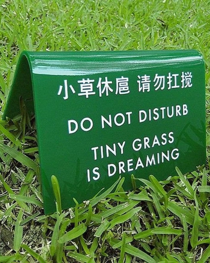 If You’re Questioning If Anything Good Is Left In The World, Here Are 67 Uplifting Posts You Might Need