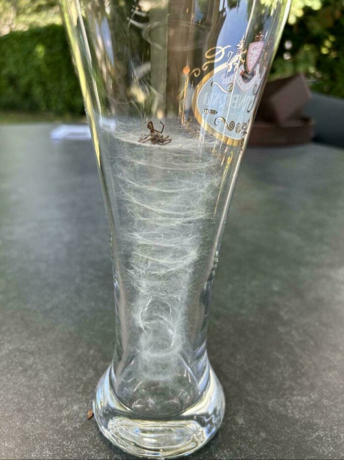 49 Unreal Photos That Prove Our “Boring” Reality Is Actually Pretty Incredible (New Pics) 49 Unreal Photos That Prove Our “Boring” Reality Is Actually Pretty Incredible (New Pics)