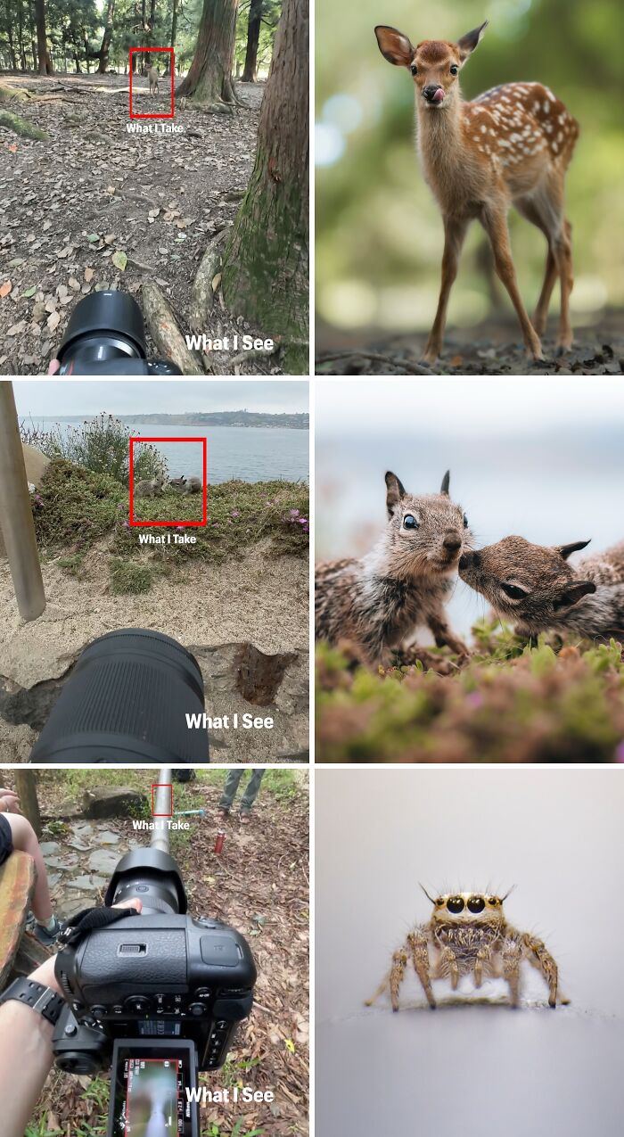 49 Unreal Photos That Prove Our “Boring” Reality Is Actually Pretty Incredible (New Pics) 49 Unreal Photos That Prove Our “Boring” Reality Is Actually Pretty Incredible (New Pics)