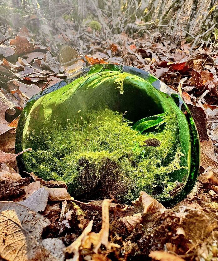 49 Unreal Photos That Prove Our “Boring” Reality Is Actually Pretty Incredible (New Pics) 49 Unreal Photos That Prove Our “Boring” Reality Is Actually Pretty Incredible (New Pics)