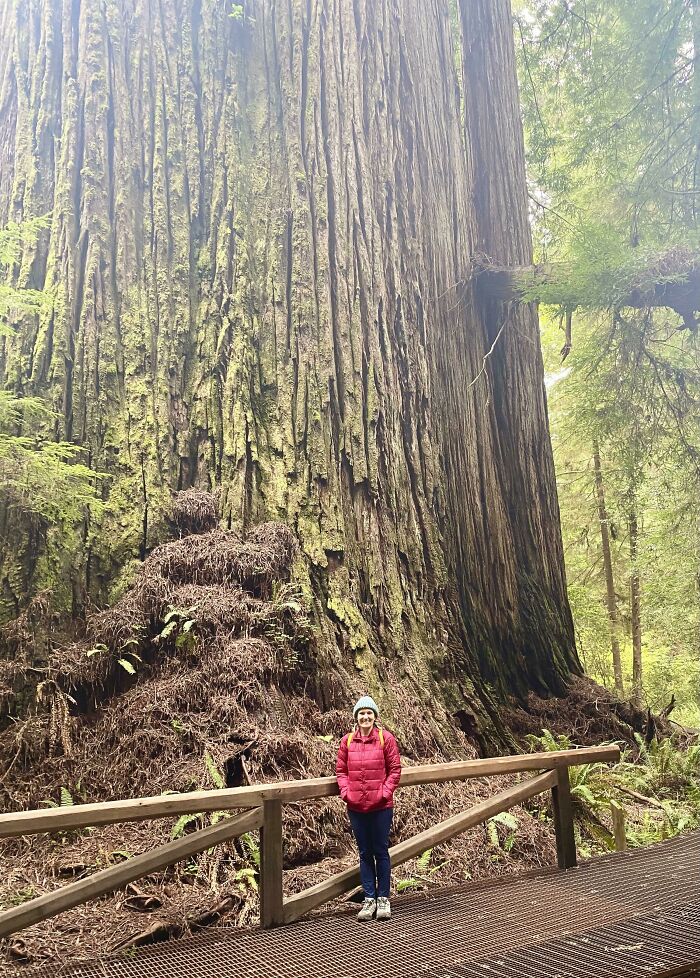 49 Unreal Photos That Prove Our “Boring” Reality Is Actually Pretty Incredible (New Pics) 49 Unreal Photos That Prove Our “Boring” Reality Is Actually Pretty Incredible (New Pics)