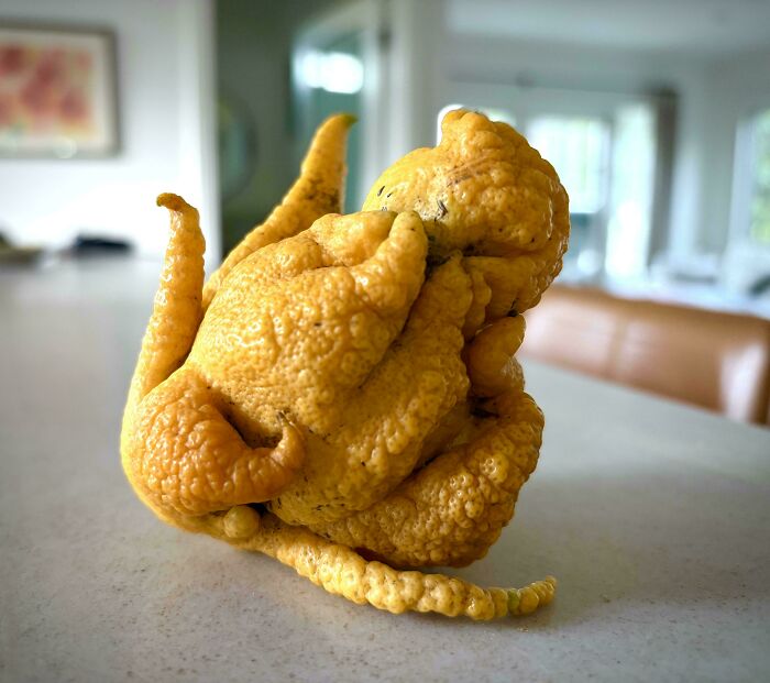 49 Unreal Photos That Prove Our “Boring” Reality Is Actually Pretty Incredible (New Pics) 49 Unreal Photos That Prove Our “Boring” Reality Is Actually Pretty Incredible (New Pics)