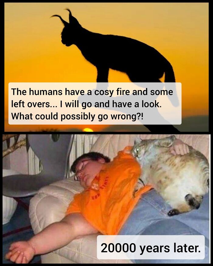 47 Times People Forgot To Think About ‘What Could Go Wrong’ And Ended Up With These Disasters (New Pics) 47 Times People Forgot To Think About ‘What Could Go Wrong’ And Ended Up With These Disasters (New Pics)