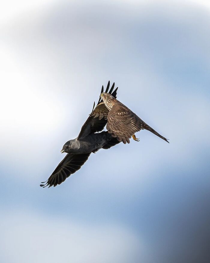 This Photographer Captured 50 Stunning Shots That Show The Magic Of Nature In Finland This Photographer Captured 50 Stunning Shots That Show The Magic Of Nature In Finland