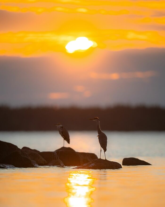 This Photographer Captured 50 Stunning Shots That Show The Magic Of Nature In Finland This Photographer Captured 50 Stunning Shots That Show The Magic Of Nature In Finland