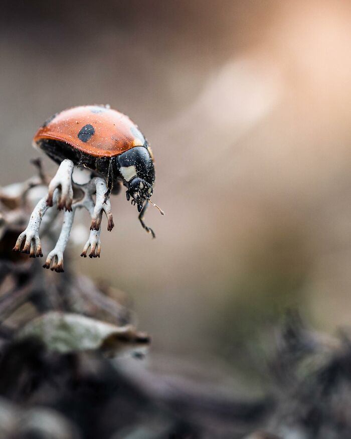 This Photographer Captured 50 Stunning Shots That Show The Magic Of Nature In Finland This Photographer Captured 50 Stunning Shots That Show The Magic Of Nature In Finland