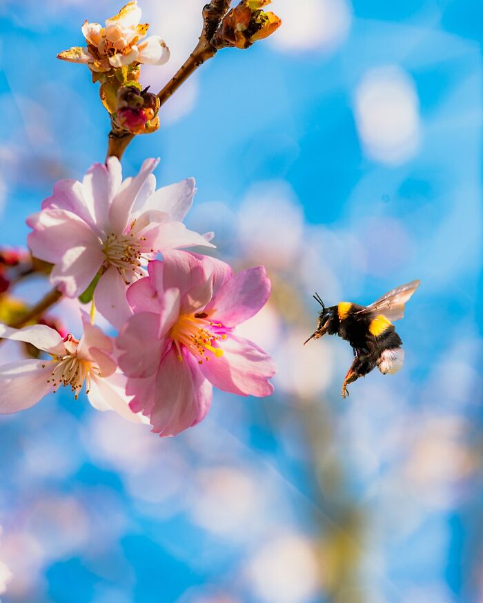 This Photographer Captured 50 Stunning Shots That Show The Magic Of Nature In Finland This Photographer Captured 50 Stunning Shots That Show The Magic Of Nature In Finland