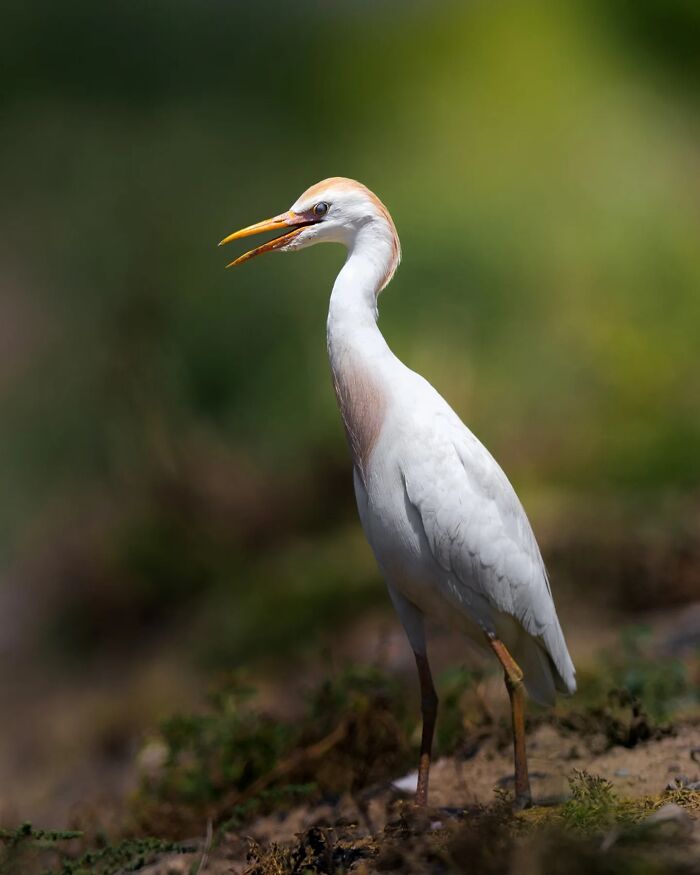 This Photographer Captured 50 Stunning Shots That Show The Magic Of Nature In Finland This Photographer Captured 50 Stunning Shots That Show The Magic Of Nature In Finland