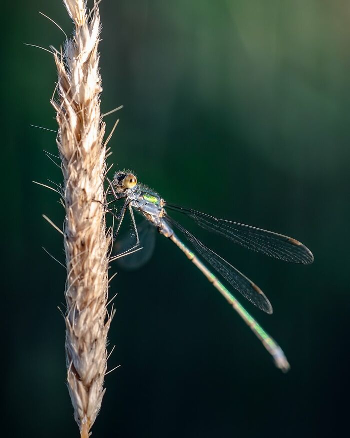 This Photographer Captured 50 Stunning Shots That Show The Magic Of Nature In Finland This Photographer Captured 50 Stunning Shots That Show The Magic Of Nature In Finland