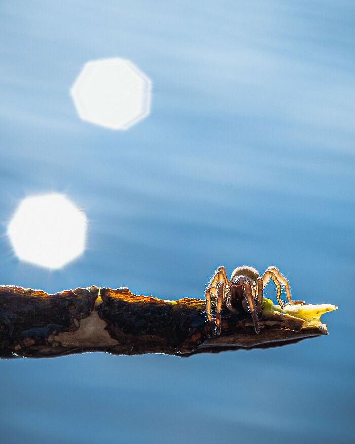 This Photographer Captured 50 Stunning Shots That Show The Magic Of Nature In Finland This Photographer Captured 50 Stunning Shots That Show The Magic Of Nature In Finland