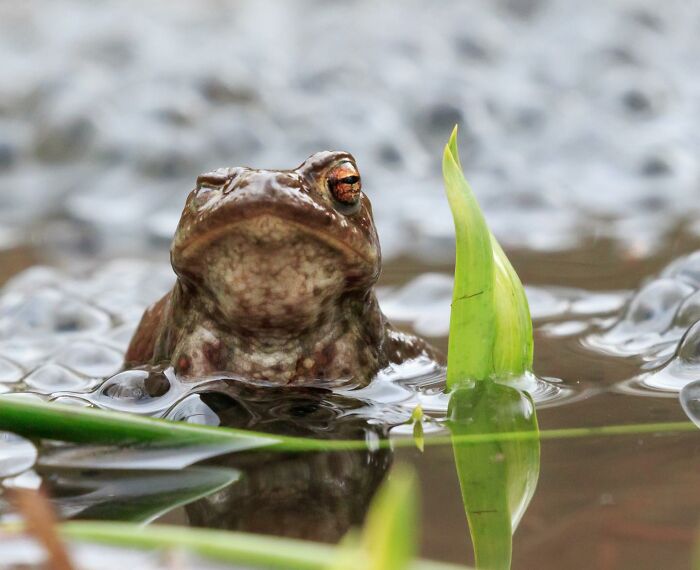 40 Perfectly Timed Wildlife Photos From The Comedy Wildlife Photography Awards