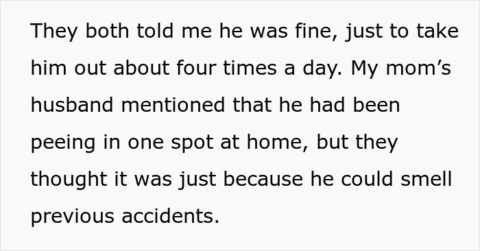 Neglectful Owner Leaves Sick Dog With Daughter, Refuses To Come Back When It Needs Medical Help Neglectful Owner Leaves Sick Dog With Daughter, Refuses To Come Back When It Needs Medical Help