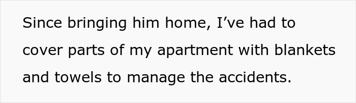 Neglectful Owner Leaves Sick Dog With Daughter, Refuses To Come Back When It Needs Medical Help Neglectful Owner Leaves Sick Dog With Daughter, Refuses To Come Back When It Needs Medical Help
