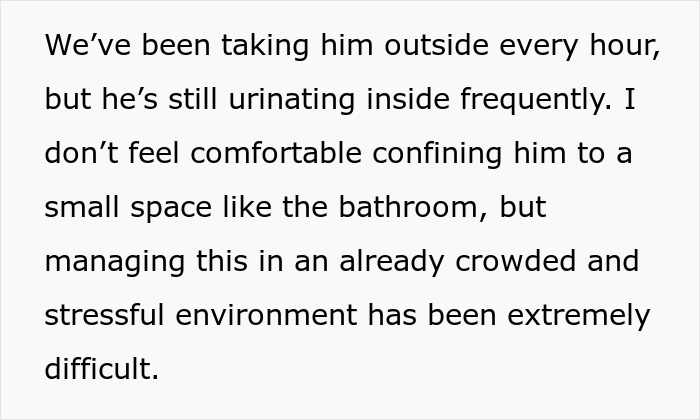 Neglectful Owner Leaves Sick Dog With Daughter, Refuses To Come Back When It Needs Medical Help Neglectful Owner Leaves Sick Dog With Daughter, Refuses To Come Back When It Needs Medical Help