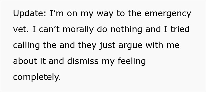 Neglectful Owner Leaves Sick Dog With Daughter, Refuses To Come Back When It Needs Medical Help Neglectful Owner Leaves Sick Dog With Daughter, Refuses To Come Back When It Needs Medical Help