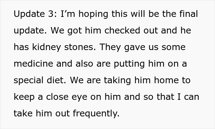 Neglectful Owner Leaves Sick Dog With Daughter, Refuses To Come Back When It Needs Medical Help Neglectful Owner Leaves Sick Dog With Daughter, Refuses To Come Back When It Needs Medical Help