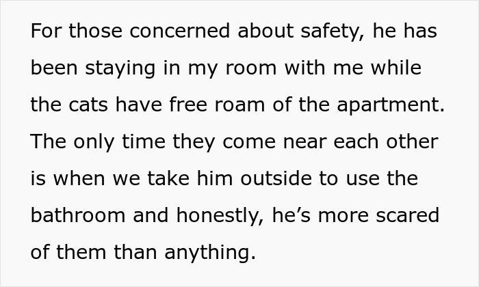 Neglectful Owner Leaves Sick Dog With Daughter, Refuses To Come Back When It Needs Medical Help Neglectful Owner Leaves Sick Dog With Daughter, Refuses To Come Back When It Needs Medical Help