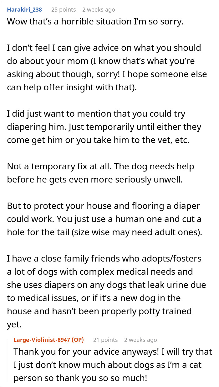 Neglectful Owner Leaves Sick Dog With Daughter, Refuses To Come Back When It Needs Medical Help Neglectful Owner Leaves Sick Dog With Daughter, Refuses To Come Back When It Needs Medical Help