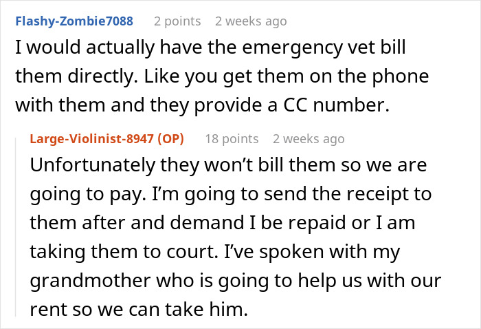 Neglectful Owner Leaves Sick Dog With Daughter, Refuses To Come Back When It Needs Medical Help Neglectful Owner Leaves Sick Dog With Daughter, Refuses To Come Back When It Needs Medical Help