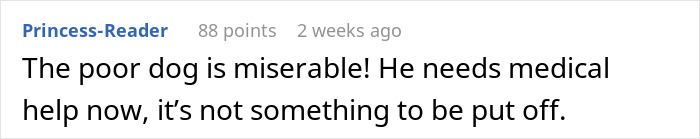 Neglectful Owner Leaves Sick Dog With Daughter, Refuses To Come Back When It Needs Medical Help Neglectful Owner Leaves Sick Dog With Daughter, Refuses To Come Back When It Needs Medical Help