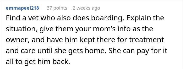 Neglectful Owner Leaves Sick Dog With Daughter, Refuses To Come Back When It Needs Medical Help Neglectful Owner Leaves Sick Dog With Daughter, Refuses To Come Back When It Needs Medical Help