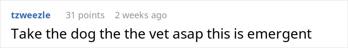 Neglectful Owner Leaves Sick Dog With Daughter, Refuses To Come Back When It Needs Medical Help Neglectful Owner Leaves Sick Dog With Daughter, Refuses To Come Back When It Needs Medical Help