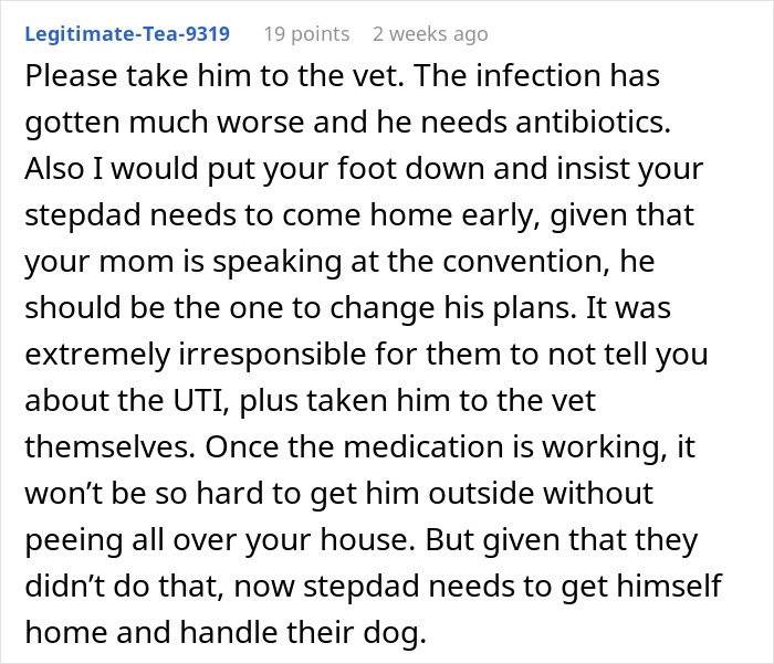 Neglectful Owner Leaves Sick Dog With Daughter, Refuses To Come Back When It Needs Medical Help Neglectful Owner Leaves Sick Dog With Daughter, Refuses To Come Back When It Needs Medical Help