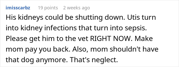 Neglectful Owner Leaves Sick Dog With Daughter, Refuses To Come Back When It Needs Medical Help Neglectful Owner Leaves Sick Dog With Daughter, Refuses To Come Back When It Needs Medical Help