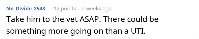 Neglectful Owner Leaves Sick Dog With Daughter, Refuses To Come Back When It Needs Medical Help Neglectful Owner Leaves Sick Dog With Daughter, Refuses To Come Back When It Needs Medical Help