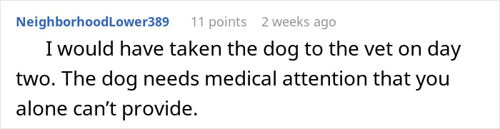 Neglectful Owner Leaves Sick Dog With Daughter, Refuses To Come Back When It Needs Medical Help Neglectful Owner Leaves Sick Dog With Daughter, Refuses To Come Back When It Needs Medical Help