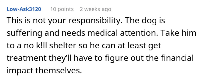 Neglectful Owner Leaves Sick Dog With Daughter, Refuses To Come Back When It Needs Medical Help Neglectful Owner Leaves Sick Dog With Daughter, Refuses To Come Back When It Needs Medical Help