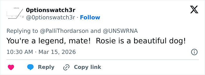 Determined Guy Teams Up With AI To Create Cancer Vaccine For Beloved Dog, Succeeds Against All Odds