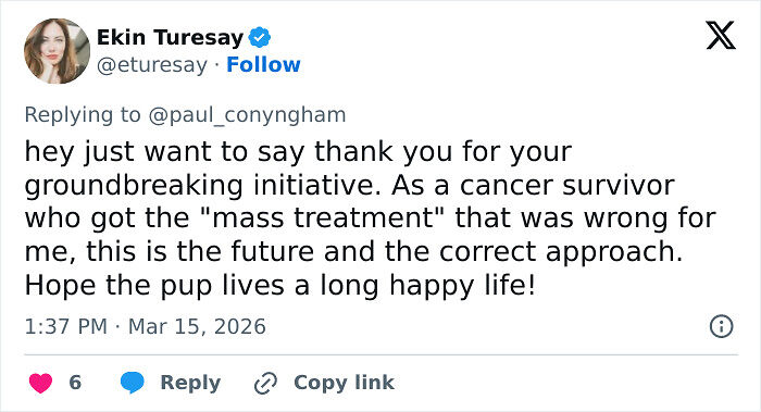 Determined Guy Teams Up With AI To Create Cancer Vaccine For Beloved Dog, Succeeds Against All Odds