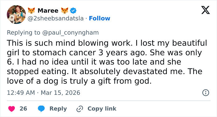 Determined Guy Teams Up With AI To Create Cancer Vaccine For Beloved Dog, Succeeds Against All Odds