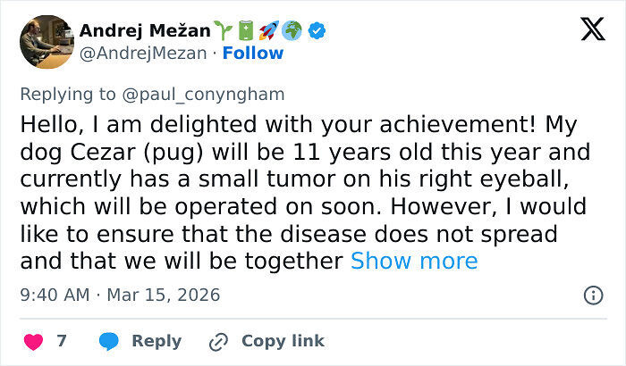 Determined Guy Teams Up With AI To Create Cancer Vaccine For Beloved Dog, Succeeds Against All Odds