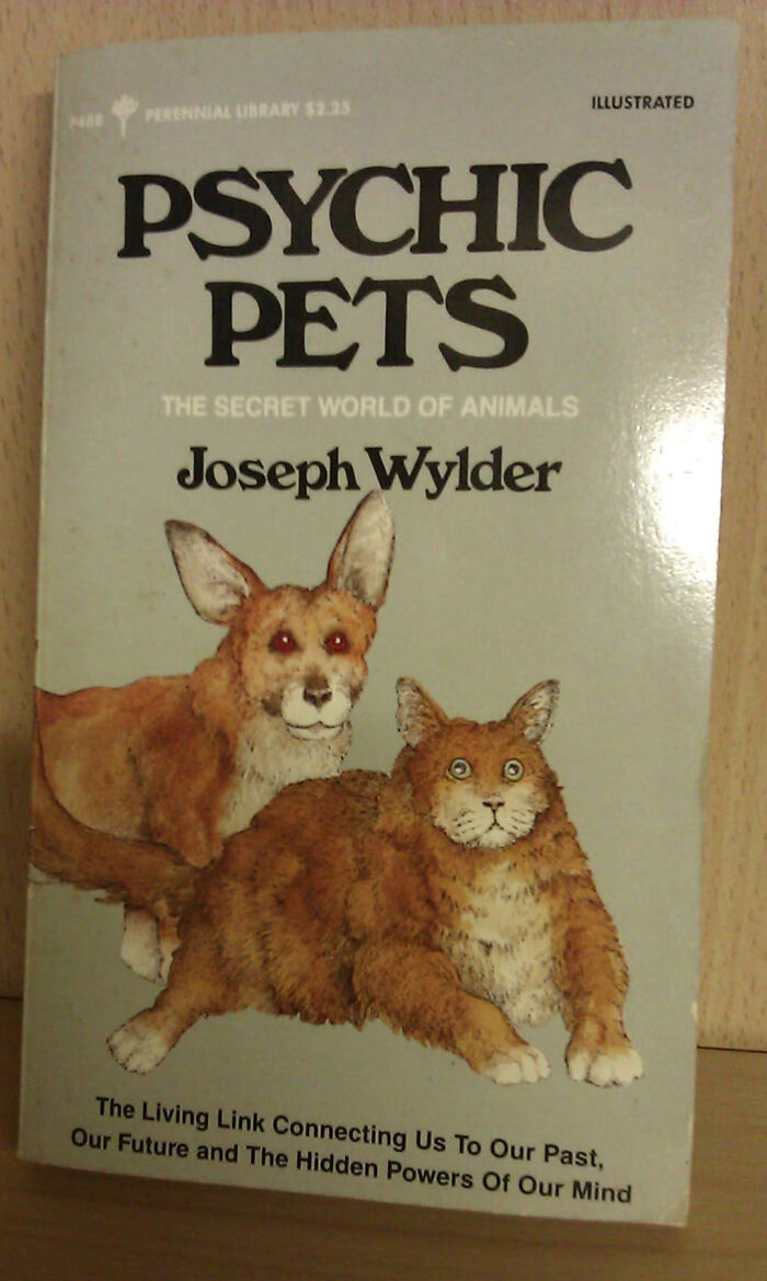 57 Books Covers That Are So Incredibly Awful That They&rsquo;re Actually Funny (New Pics)